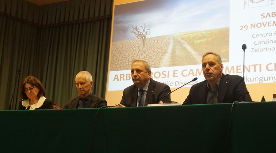 Clicca per accedere all'articolo Arbovirosi e cambiamenti climatici: già disponibili le slide dei relatori