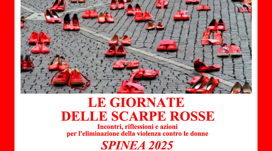Clicca per accedere all'articolo Lotta alla violenza contro le donne: la dottoressa Cecchetto a Spinea il 26 novembre