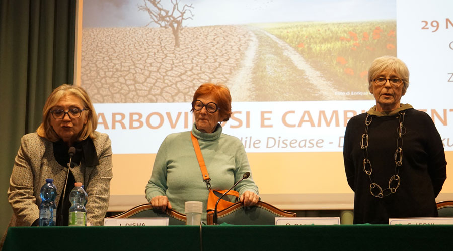 Clicca per accedere all'articolo Violenza di genere, la proposta della CPO per riaprire il dibattito: il video "Nel corpo della mente"