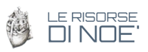 noe_risorse.png