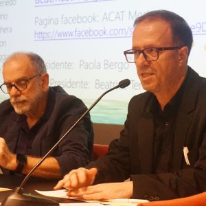 alcol28