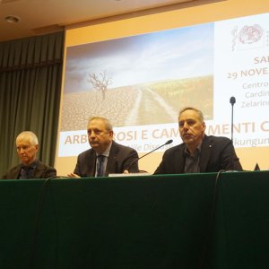 Arbovirosi_29.11.2025