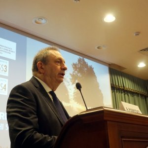 finevita1