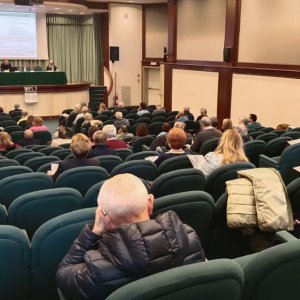 finevita33