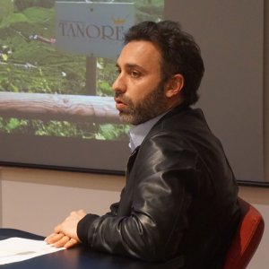 seraod2_11