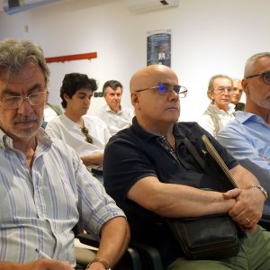 teleodontonas5